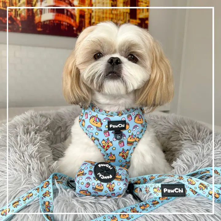 Perro Shih Tzu con arnés, correa y portabolsas PawChi azul con estampado kawaii.