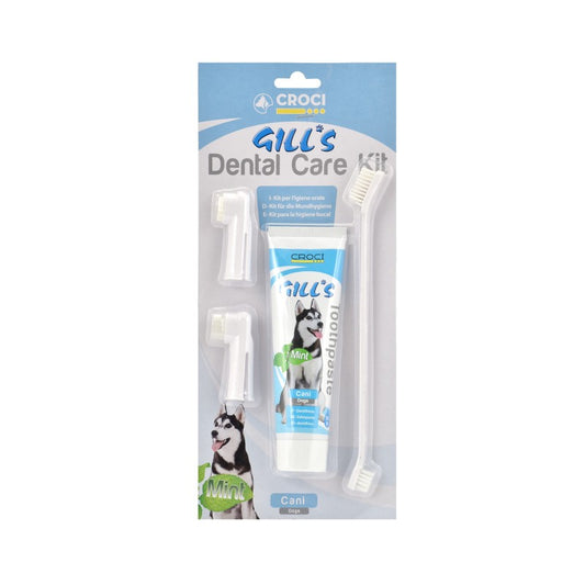 GILL'S KIT DENTAL CARE